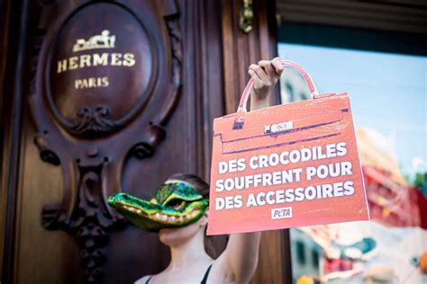 International Campaign Urges Hermès to Ban Exotic Skins 